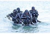 Американски командоси морски тюлени