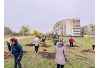 Във Враца засадиха 500 нови дървета – за по-зелен и красив град`