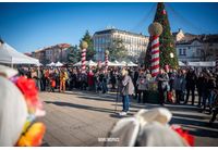 Стотици участваха в Празника на врачанските вина, ракии и мезета