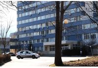 Главна дирекция "Национална полиция" (ГДНП)