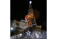 Грейнаха коледните светлини на елхата в Асеновград