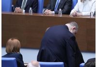 Делян Пеевски
