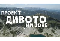 Филмът "Дивото ни зове" разказва за рекорда на Петър Матов 