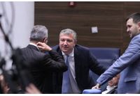 Драгомир Стойнев, БСП