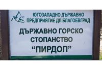 Държавно горско стопанство ""Пирдоп"