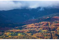 Облачно есенно време