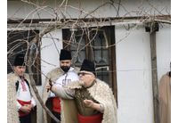 Зарязване на лозата