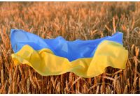Зърно от Украйна