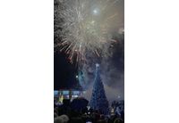 Коледна елха в Мездра