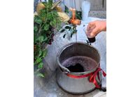 "Наздравица за любовта" в Асеновград