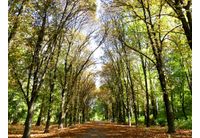 Община Нова Загора с нов мащабен международен проект за по-добра градска среда и климатична устойчивост