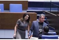 Павела Митова, ИТН