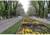 Парк в Русе