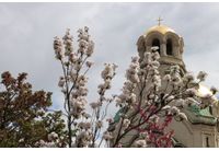 Катедрала "Св. Ал. Невски"