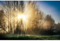 Слънчево време