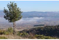 Слънчево есенно време