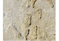 Стъпки на 12 000 години