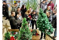 Ученици подредиха коледната украса в община Оряхово