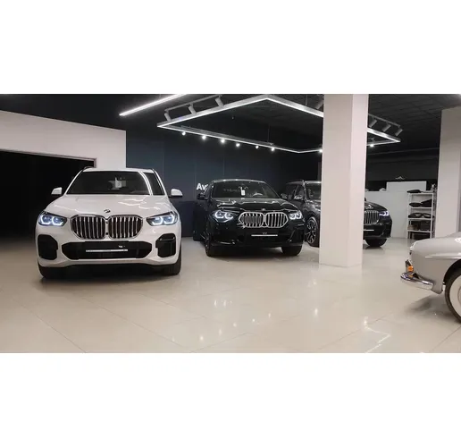 Автомобили BMW в Русия