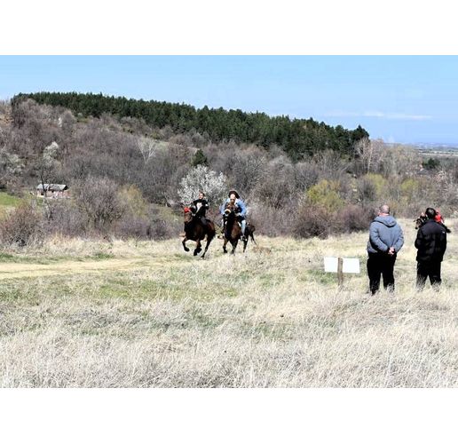 Държавно първенство по конен спорт край Асеновград