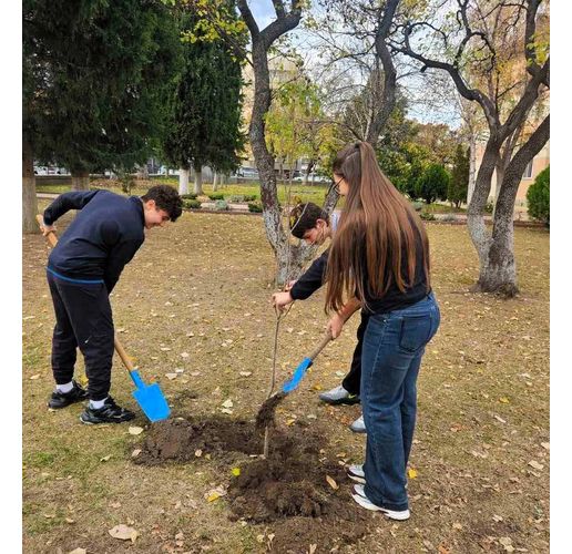 Повече от 500 бр. фиданки раздаде безвъзмездно община Асеновград