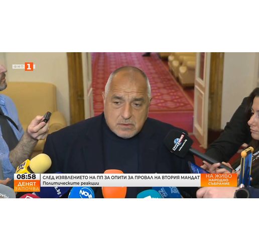 Борисов в кулоарите на НС