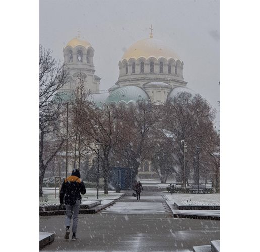 В София се сипе обилен мокър сняг