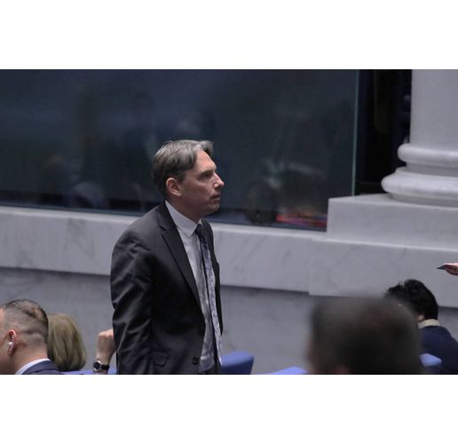 Васил Пандов, ПП-ДБ