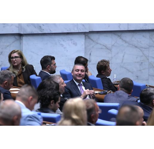 Владислав Горанов