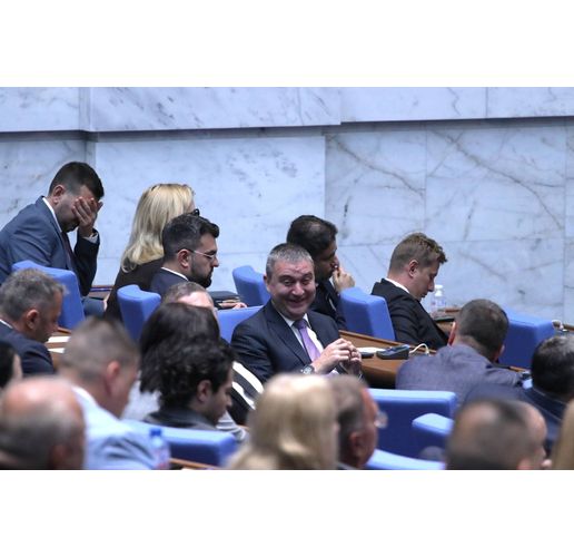 Владислав Горанов