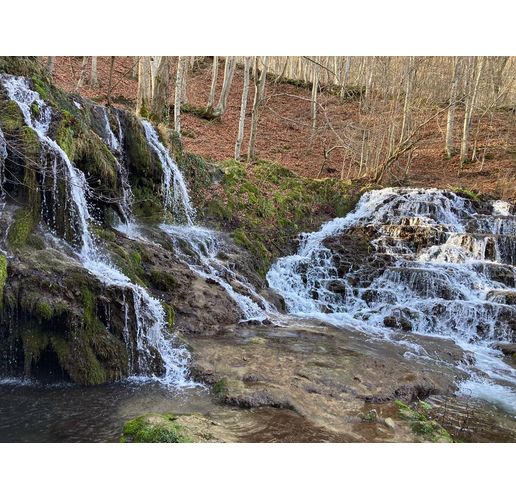 Водни ресурси