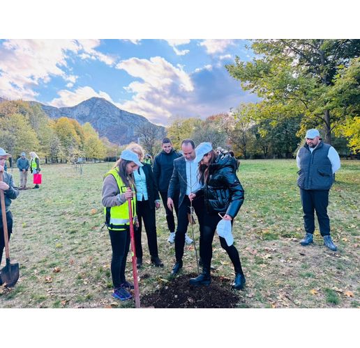 Враца - с Алея на будителите