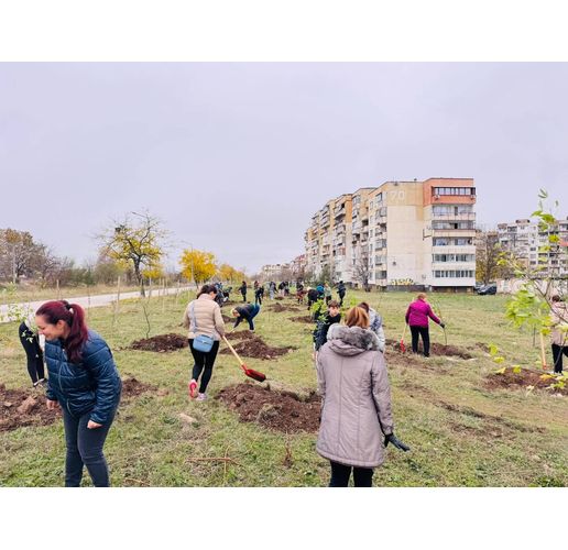 Във Враца засадиха 500 нови дървета – за по-зелен и красив град`