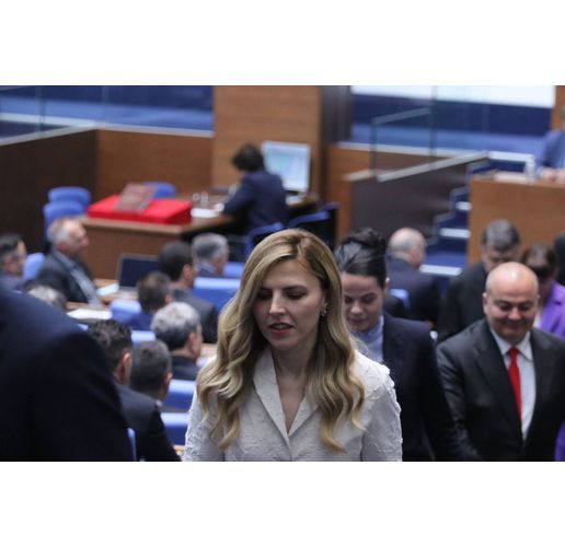Външният министър Велислава Петрова-Чамова