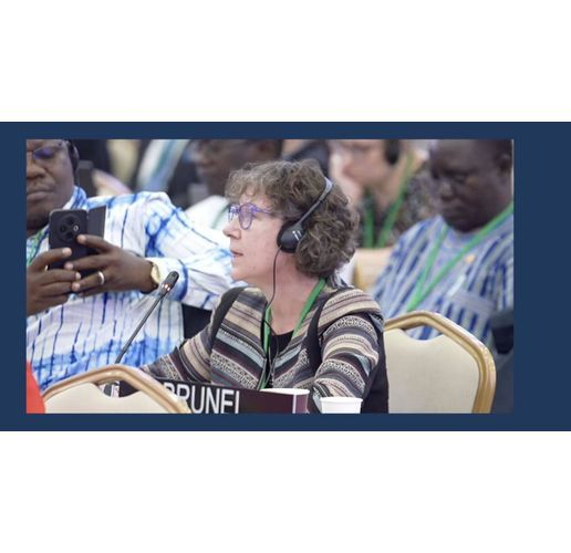 Генералната конференция на ЮНЕСКО