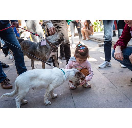 "Гурме с куче и за куче" е поредното събитие от кампанията "Капана дог"