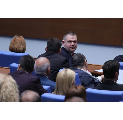 Делян Пеевски