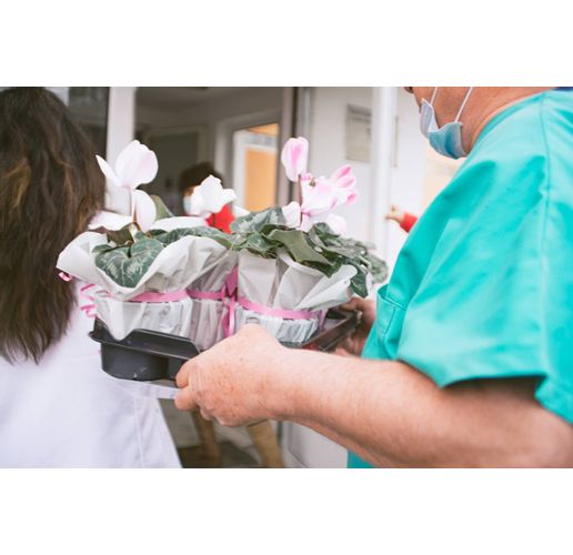 Ден на родилната помощ