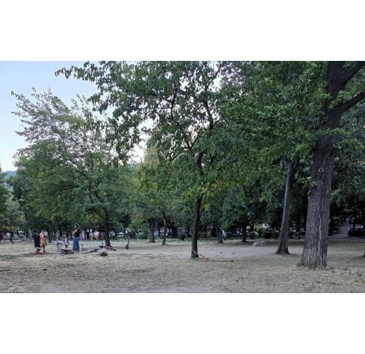 Депото в Асеновград ще приема отпадъци безплатно за два дни