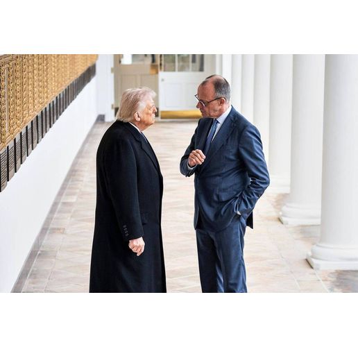 Доналд Тръмп и Фридрих Мерц