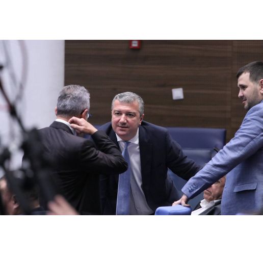 Драгомир Стойнев, БСП