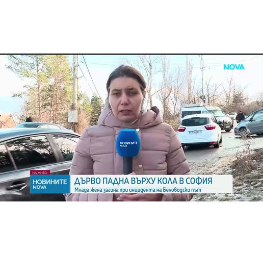 Дърво падна върху кола и уби жена