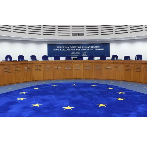 Европейски съд за правата на човека (ЕСПЧ)