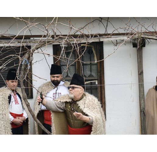 Зарязване на лозата