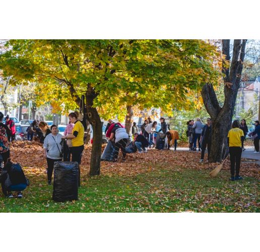 "Зелена Враца" с общи усилия