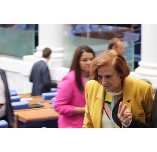 Искра Михайлова, ДПС-НН