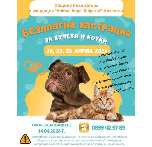 Община Нова Загора обявява кампания за безплатна кастрация на домашни кучета и котки