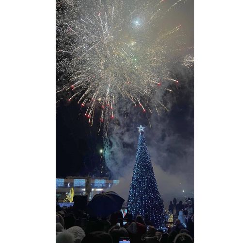 Коледна елха в Мездра