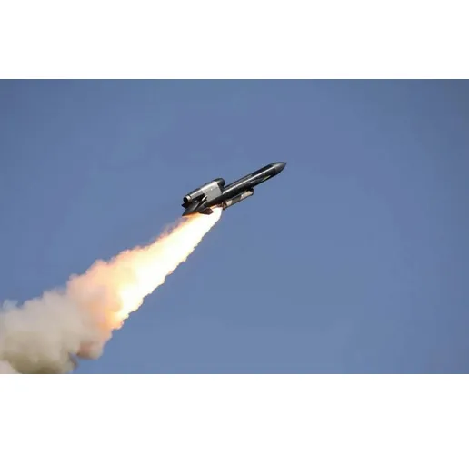 Украинска крилата ракета "Фламинго"