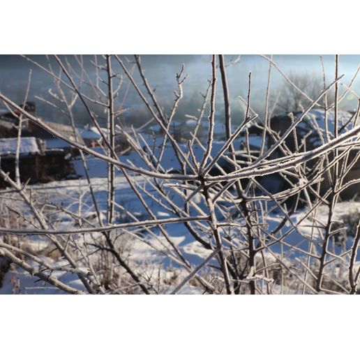 Ледено студено време